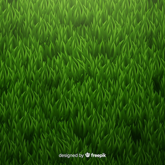 Fondo de hierba verde diseño realista