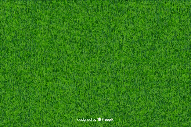 Fondo de hierba verde estilo realista