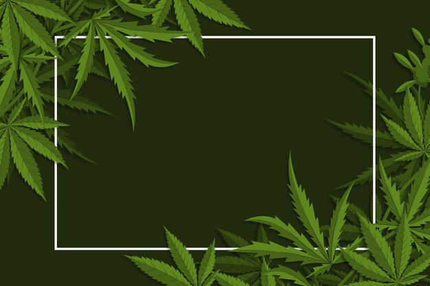 Fondo de hoja de cannabis botánico