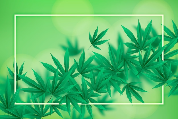 Fondo de hoja de cannabis botánico