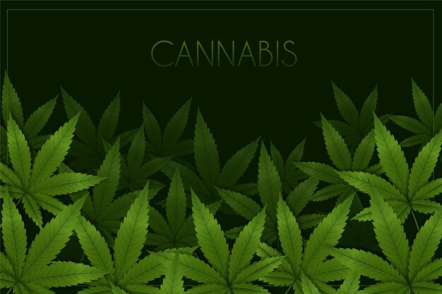 Fondo de hoja de cannabis realista
