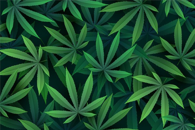 Fondo de hoja de cannabis realista