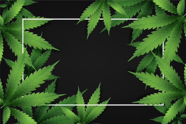 Fondo de hoja de cannabis realista