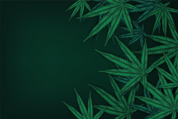 Fondo de hoja de cannabis realista