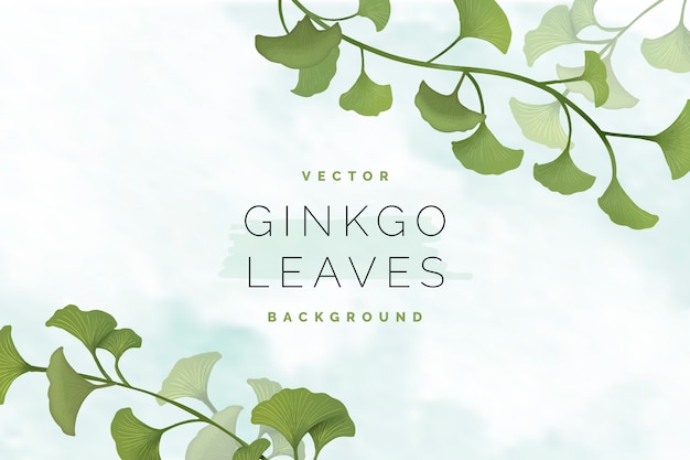 Vector gratuito fondo de hoja de ginkgo