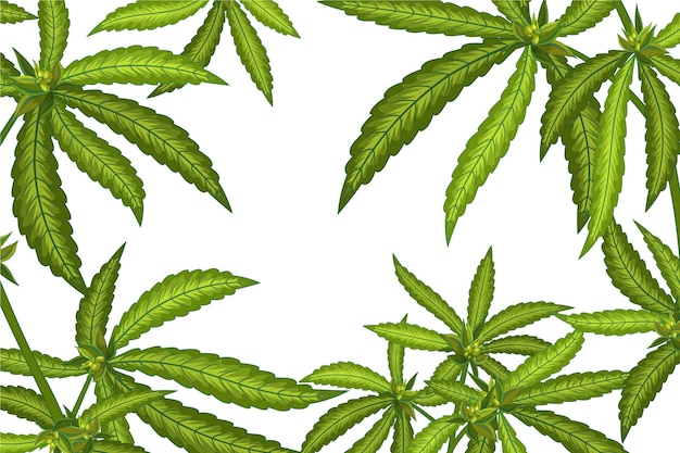 Fondo de hoja de marihuana botánica