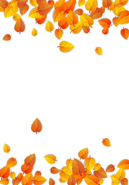 Fondo de hoja vertical de otoño Banner de otoño de follaje dorado aislado en blanco Vector estacional