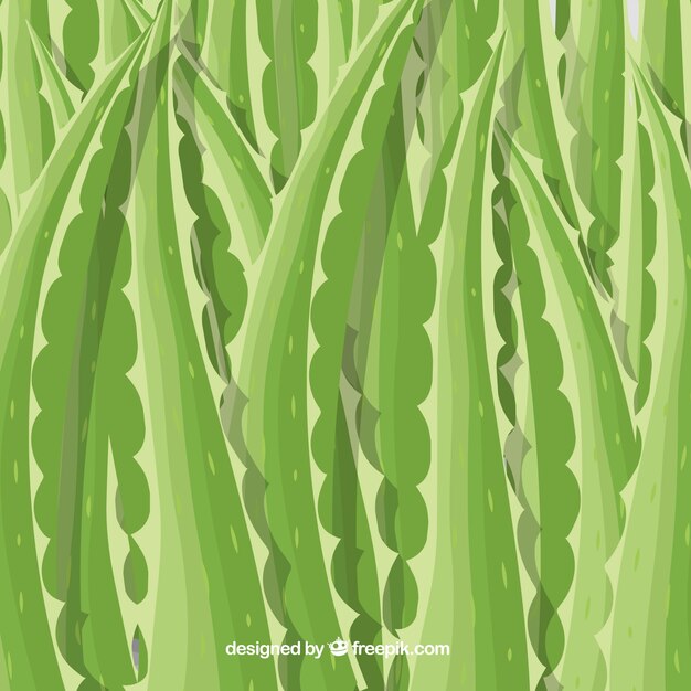 Fondo de hojas de aloe vera 