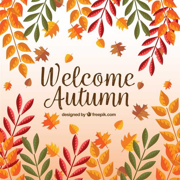 Fondo de hojas de colores de otoño 