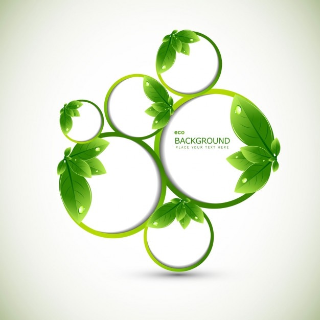 Fondo de hojas de ecología