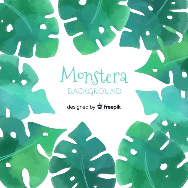 Fondo hojas monstera acuarela