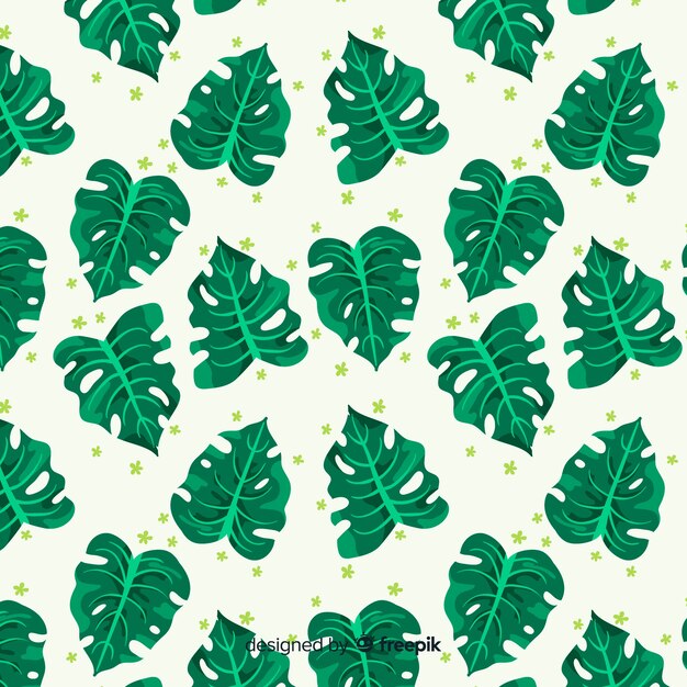 Fondo hojas monstera dibujadas a mano