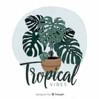 Vector gratuito fondo de hojas de monstera dibujado a mano