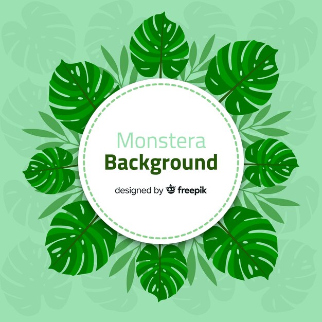 Fondo de hojas de monstera en diseño plano
