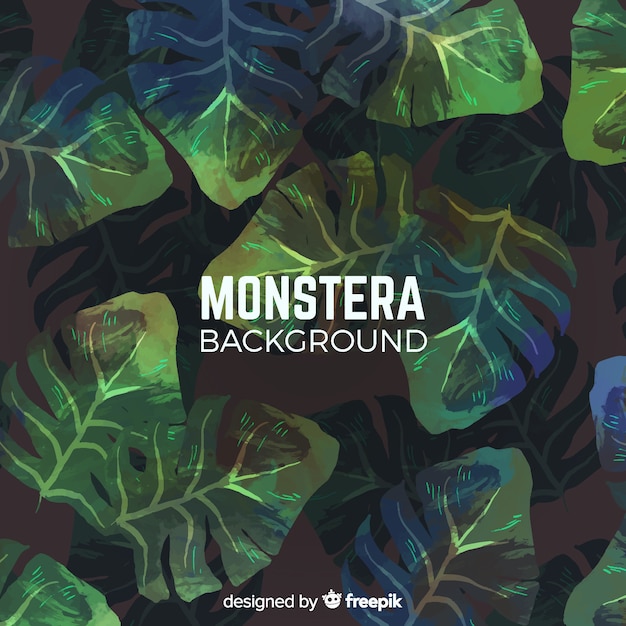 Fondo hojas de monstera oscuro