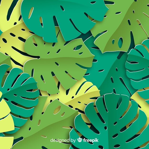 Fondo hojas de monstera superpuestas