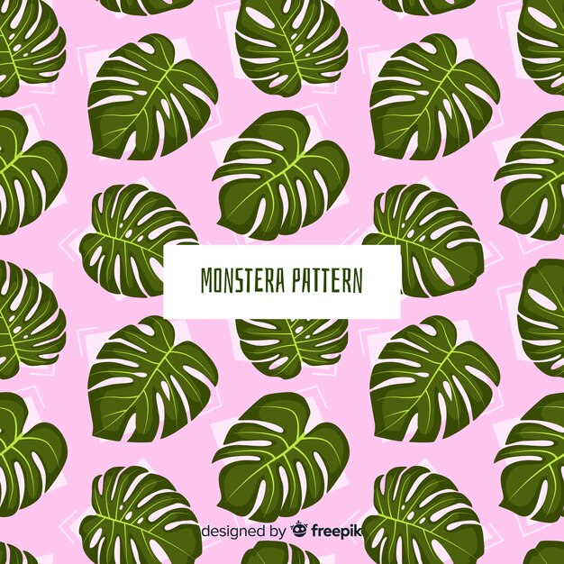 Fondo hojas de monstera