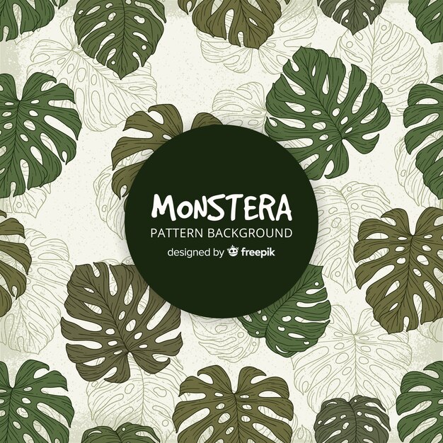 Fondo hojas de monstera