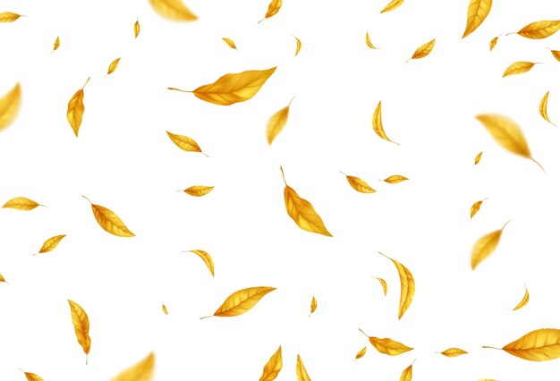 Fondo de hojas de otoño volando cayendo. Hoja de otoño amarillo realista aislada sobre fondo blanco. Fondo de venta de otoño. Ilustración vectorial