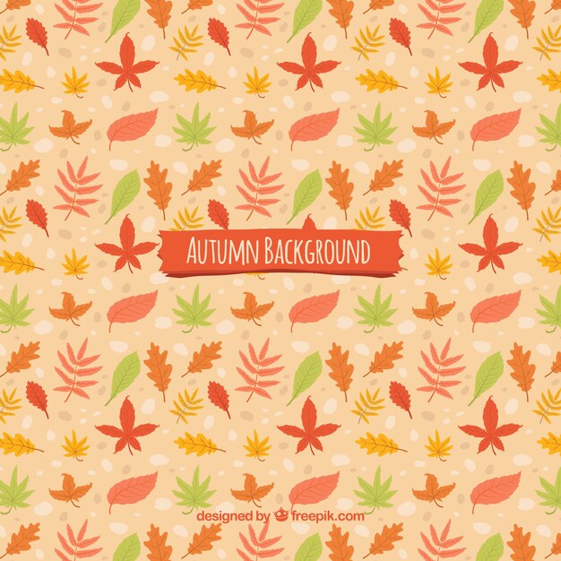 Fondo con hojas de otoño