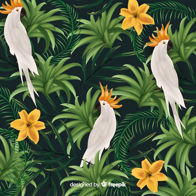 Fondo hojas y pájaros tropicales realistas