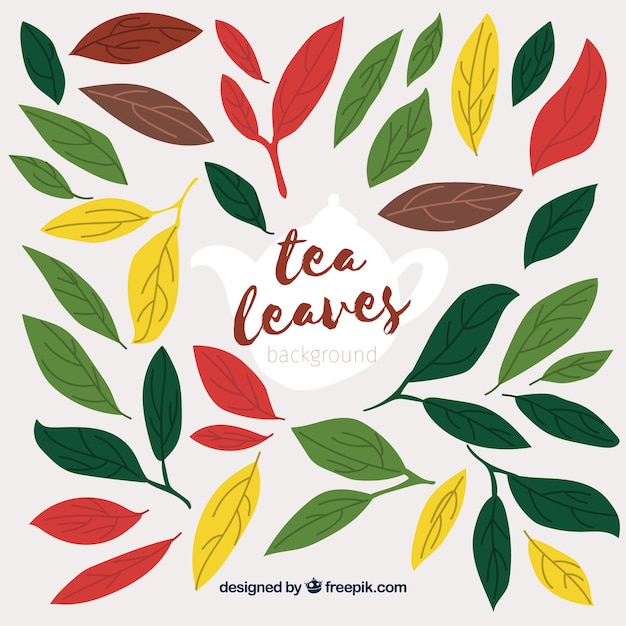 Vector gratuito fondo de hojas para preparar té