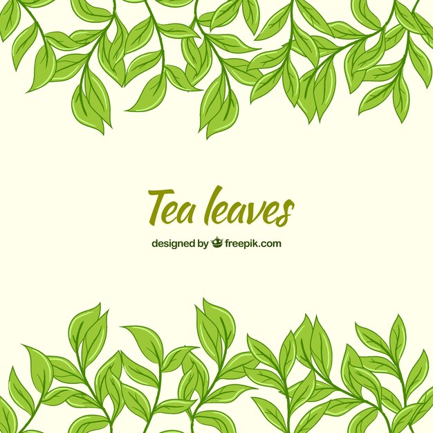 Fondo de hojas de té con diseño plano