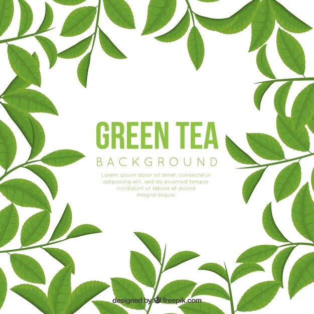 Fondo de hojas de té con diseño plano