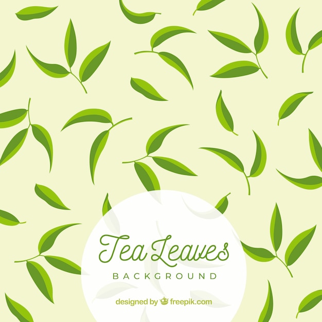 Fondo de hojas de té con diseño plano