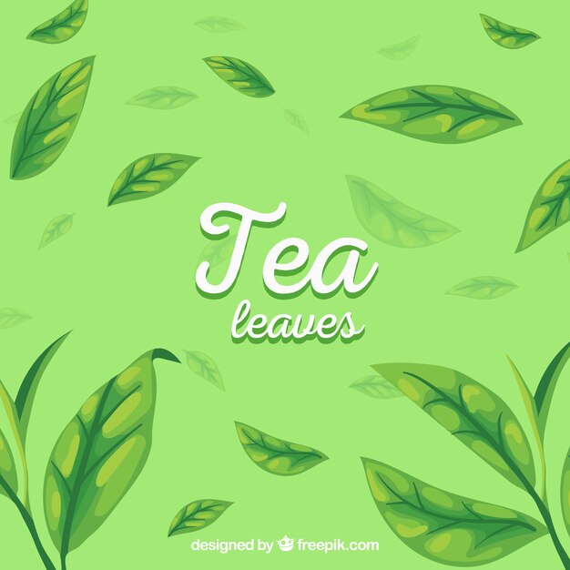 Fondo de hojas de té con diseño plano