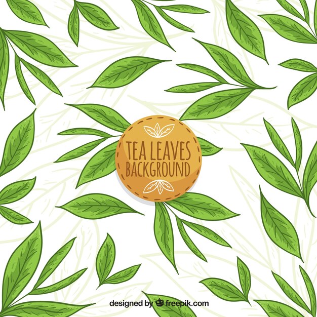 Fondo de hojas de té con estilo de dibujo a mano