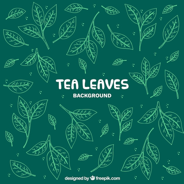 Vector gratuito fondo de hojas de té con estilo de dibujo a mano