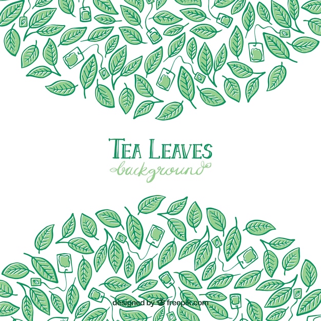 Fondo de hojas de té con estilo de dibujo a mano