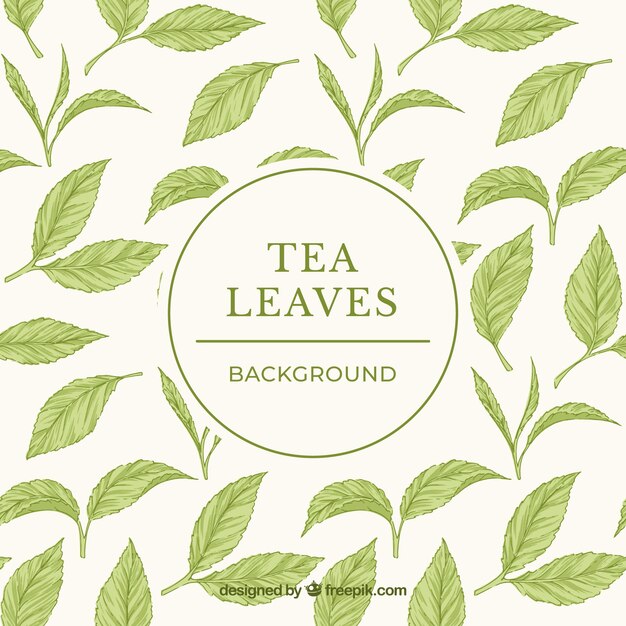 Fondo de hojas de té en estilo hecho a mano