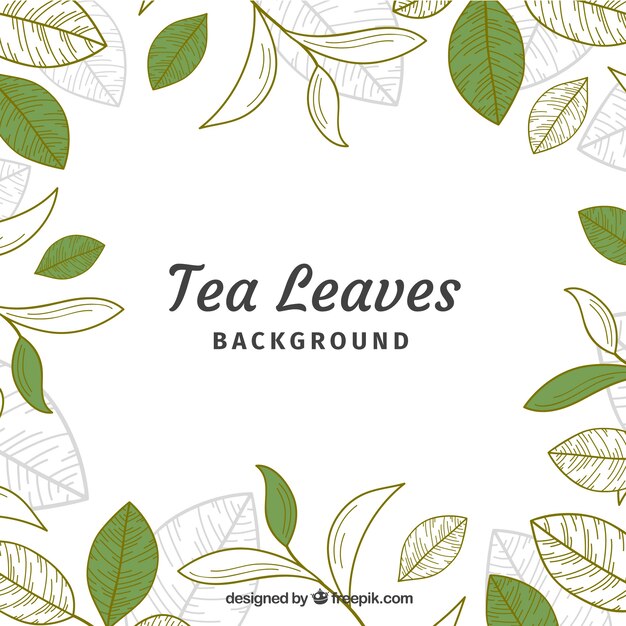 Fondo de hojas de té en estilo hecho a mano