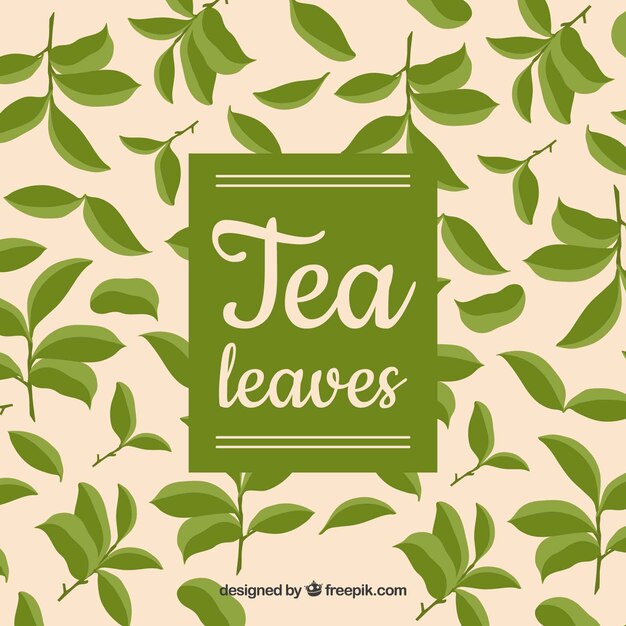 Fondo de hojas de té en estilo plano