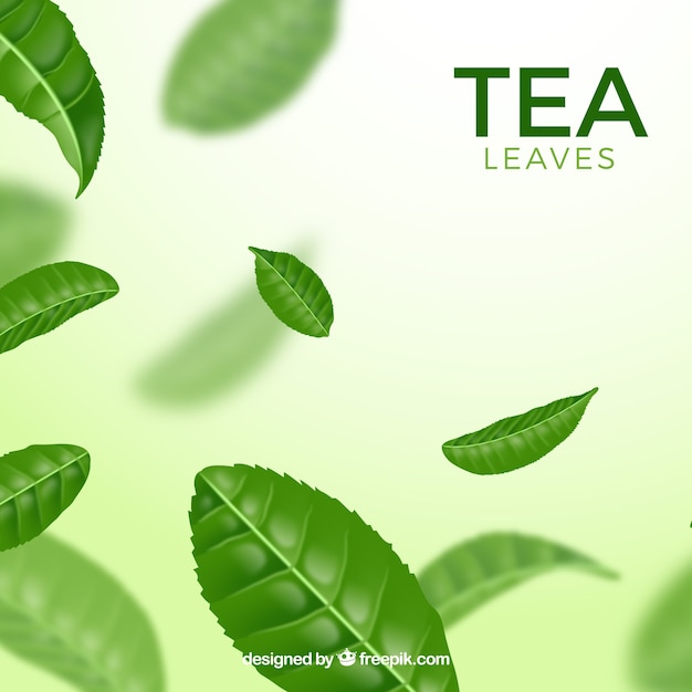 Fondo de hojas de té con estilo realista