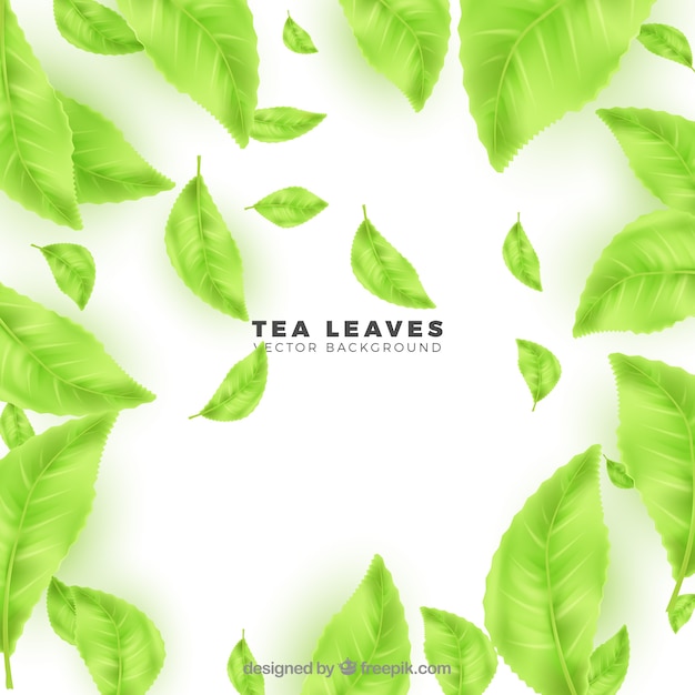 Fondo de hojas de té con estilo realista