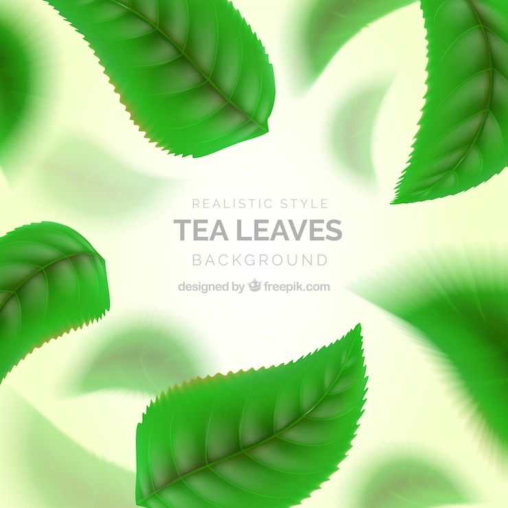 Vector gratuito fondo de hojas de té con estilo realista