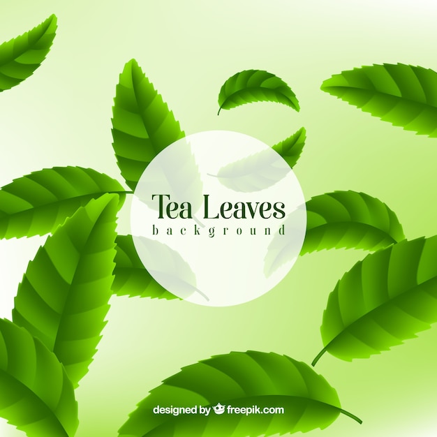 Vector gratuito fondo de hojas de té con estilo realista