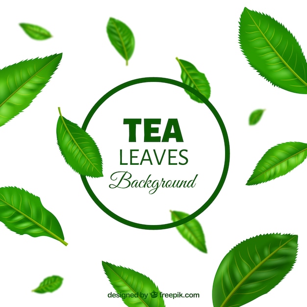 Fondo de hojas de té en estilo realista