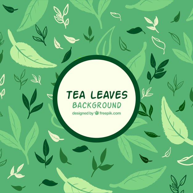 Fondo de hojas de té para hacer bebida