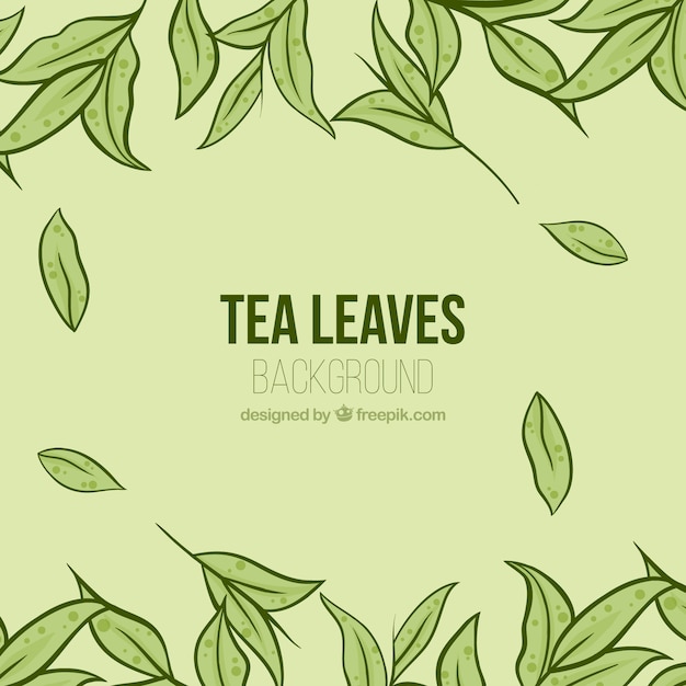 Fondo hojas de té con plantas