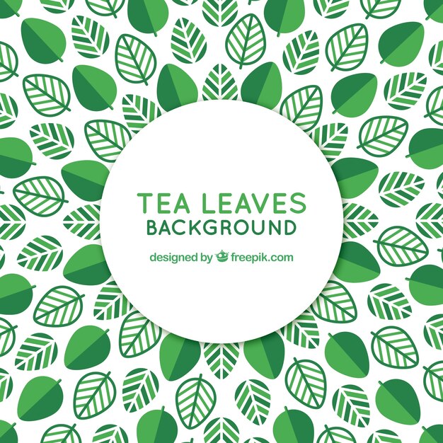 Fondo hojas de té con plantas