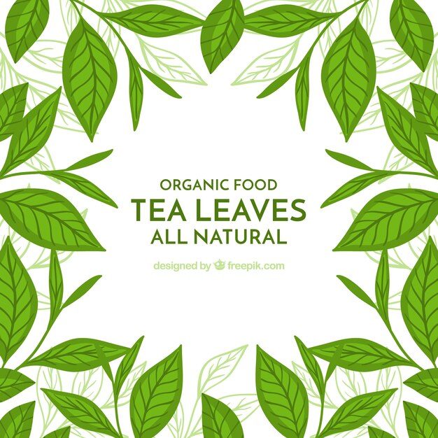 Fondo de hojas de té con vegetación