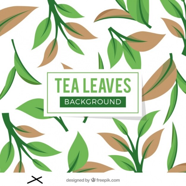 Fondo de hojas de té