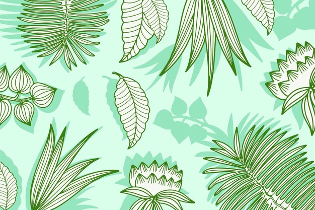 Fondo de hojas tropicales lineales pastel verde