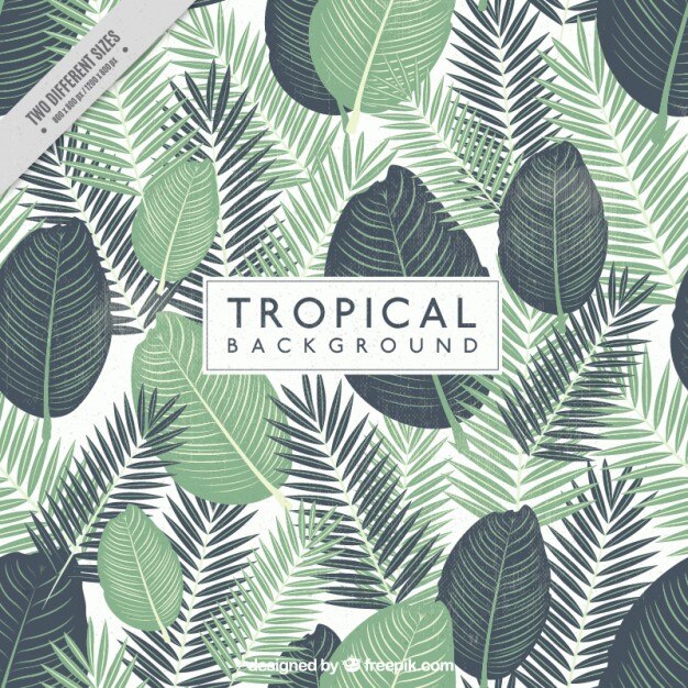 Fondo de hojas tropicales pintadas a mano