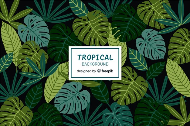 Fondo hojas tropicales