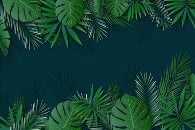 Fondo de hojas tropicales